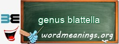 WordMeaning blackboard for genus blattella